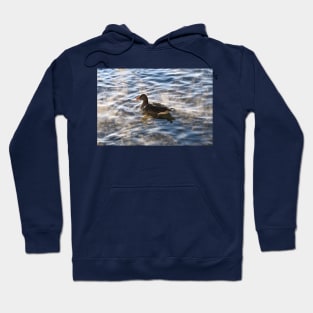 Duck on a Lake Hoodie